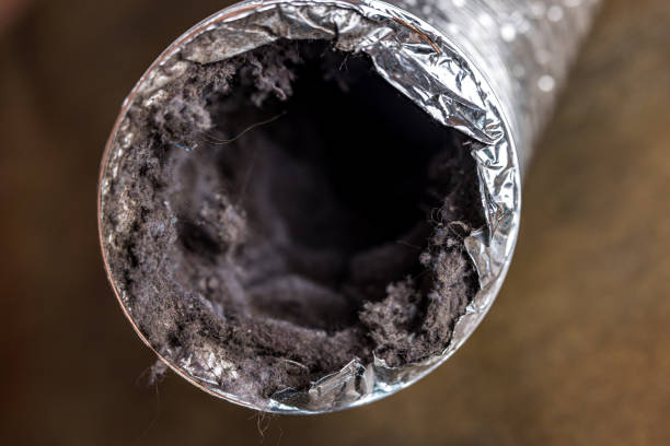 Best Dryer Vent Cleaning Services  in Indnola, IA